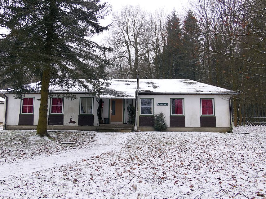 Zu Besuch am Hufhaus