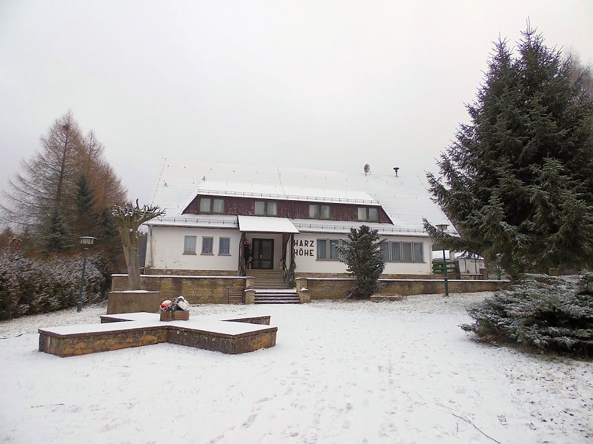 Zu Besuch am Hufhaus