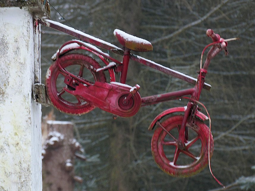Zu Besuch am Hufhaus