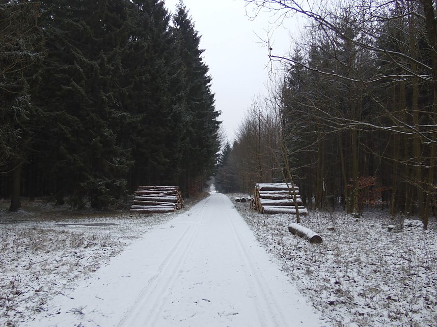 Zu Besuch am Hufhaus