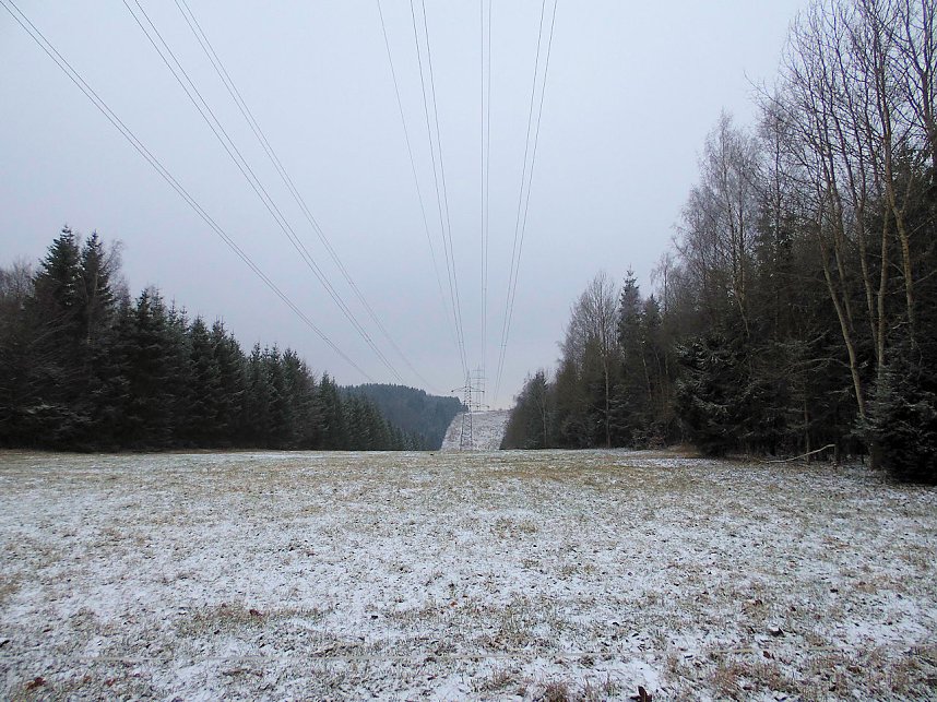 Zu Besuch am Hufhaus
