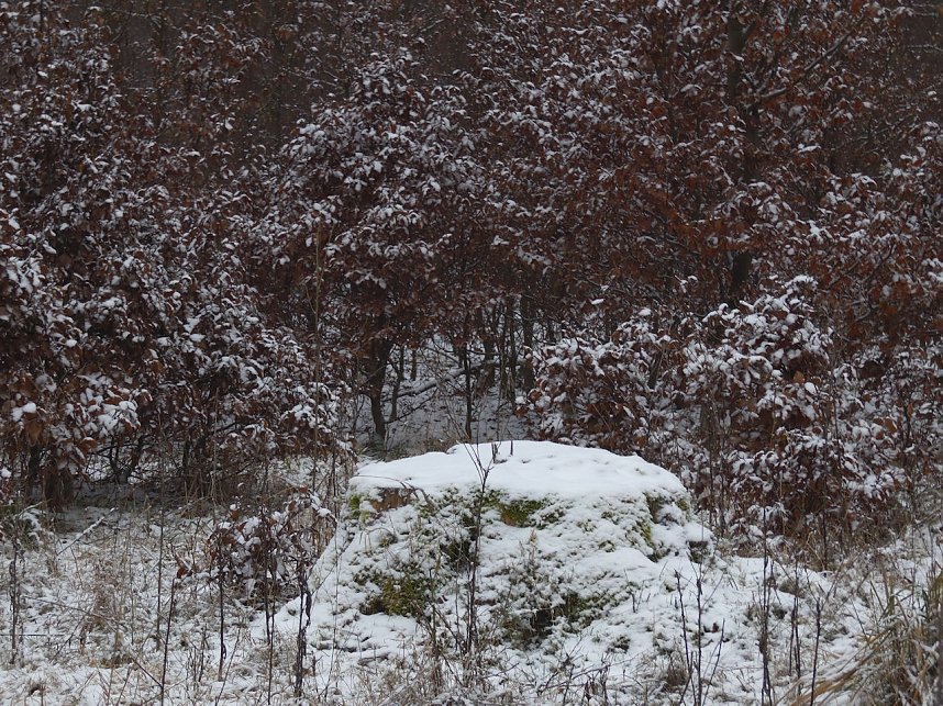 Zu Besuch am Hufhaus