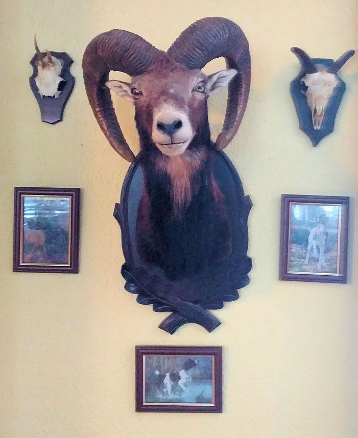 Zu Besuch am Hufhaus