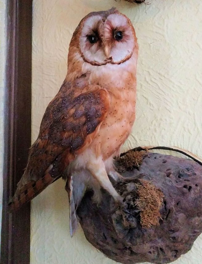 Zu Besuch am Hufhaus