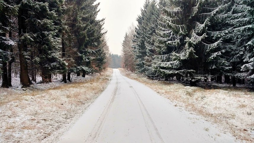 Zu Besuch am Hufhaus