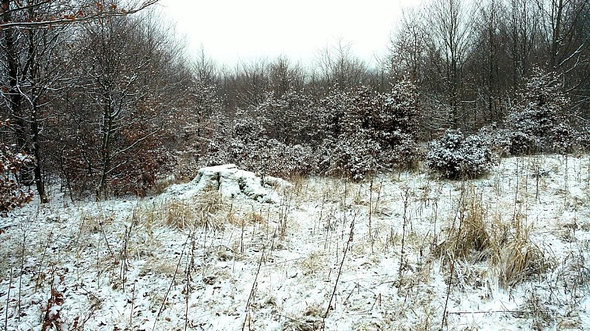 Zu Besuch am Hufhaus