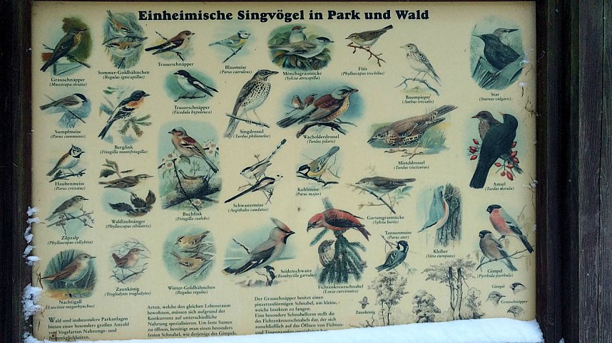 Zu Besuch am Hufhaus