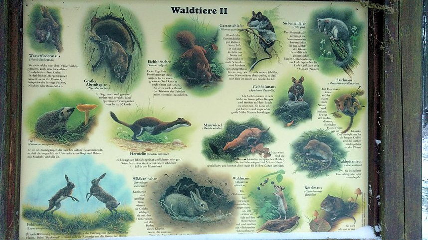 Zu Besuch am Hufhaus