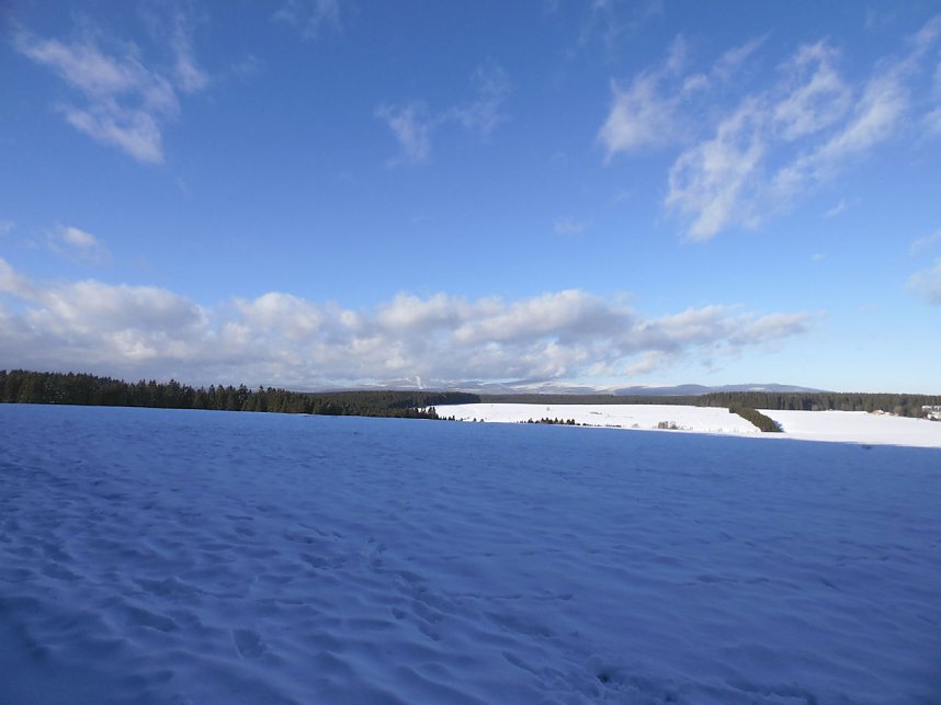 Eine Waldschneise bei Benneckenstein