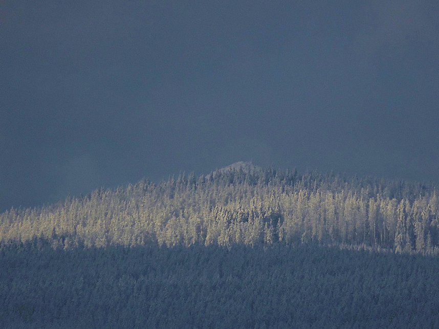 Eine Waldschneise bei Benneckenstein