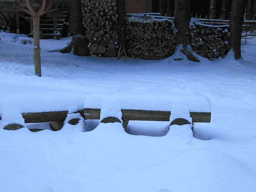 Eine Waldschneise bei Benneckenstein