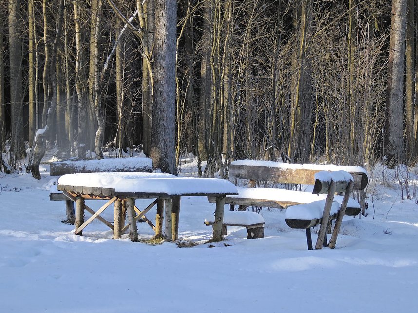 Eine Waldschneise bei Benneckenstein
