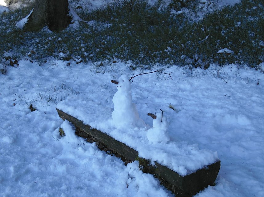 Eine Waldschneise bei Benneckenstein