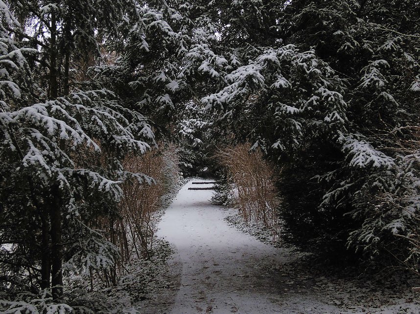 Peter Blei zu Besuch im W&ouml;rlitzer Park