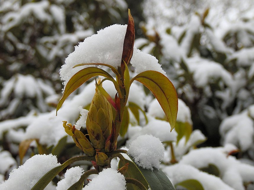 Peter Blei zu Besuch im W&ouml;rlitzer Park