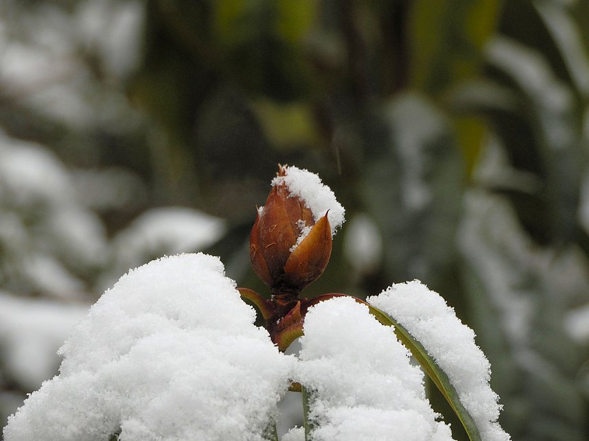 Peter Blei zu Besuch im W&ouml;rlitzer Park