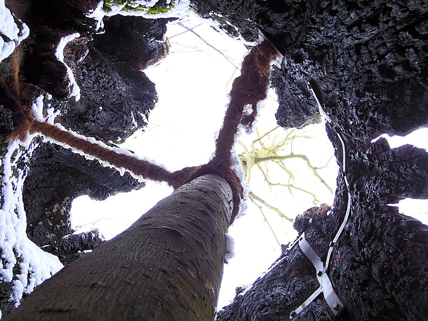 Peter Blei zu Besuch im W&ouml;rlitzer Park