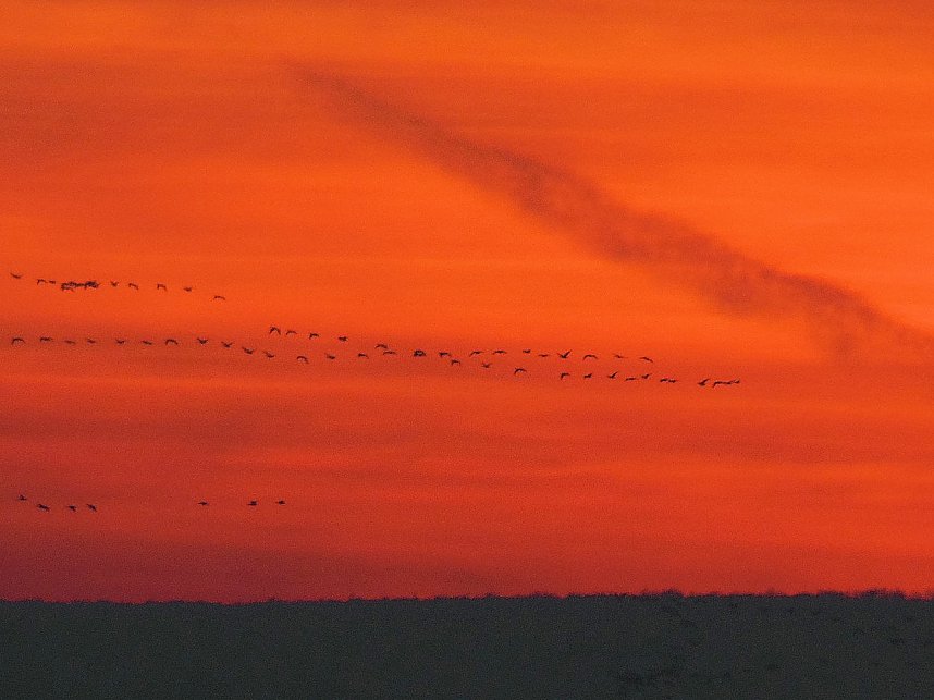 Blick von der Nordh&auml;user Stadtmauer aus