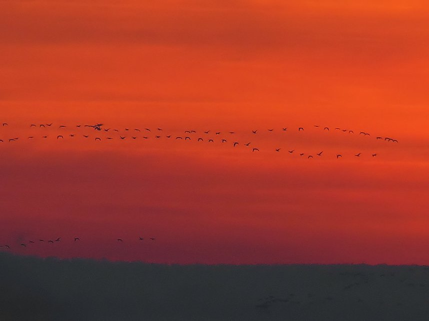 Blick von der Nordh&auml;user Stadtmauer aus