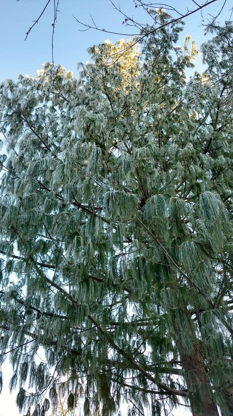 Seltenes Wetterph&auml;nomen