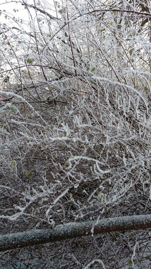 Seltenes Wetterph&auml;nomen