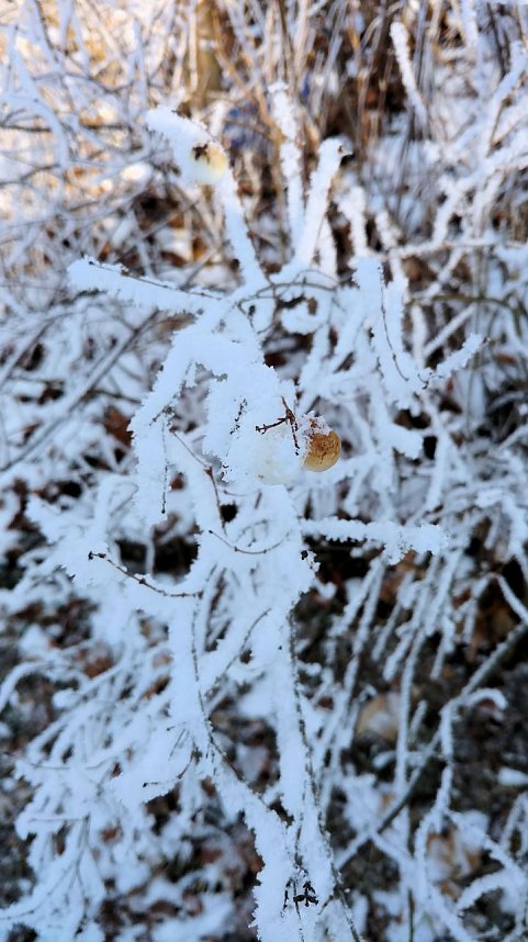 Seltenes Wetterph&auml;nomen