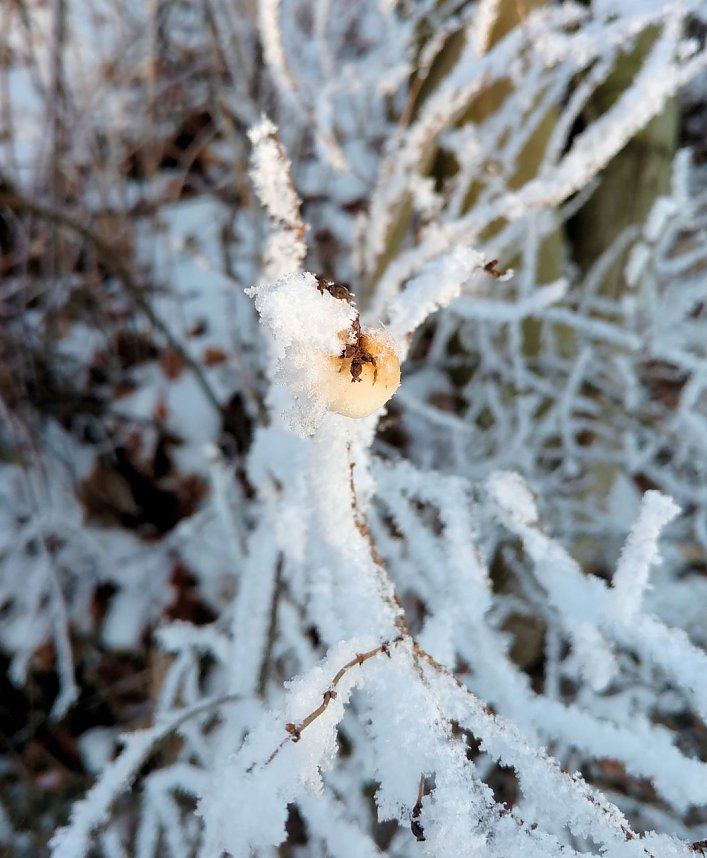 Seltenes Wetterph&auml;nomen
