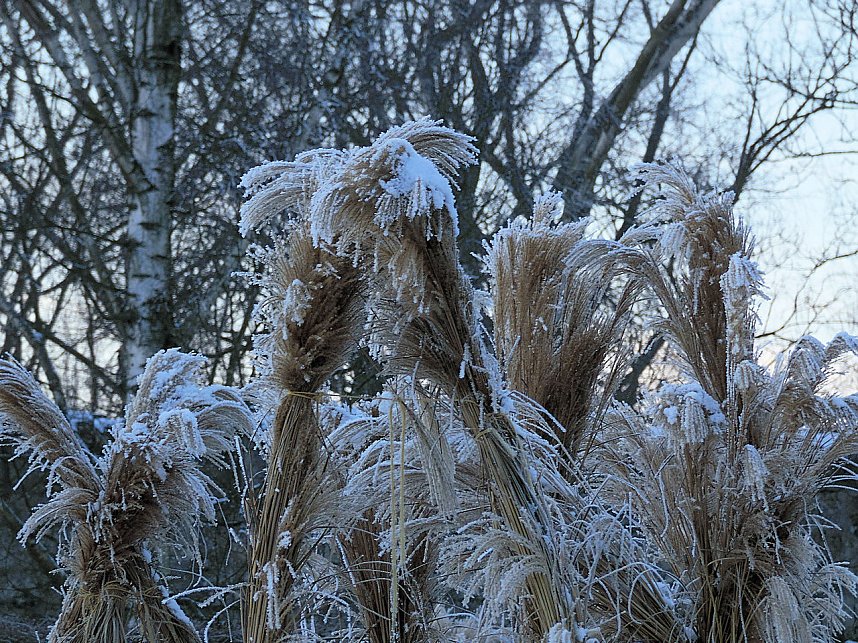 Seltenes Wetterph&auml;nomen