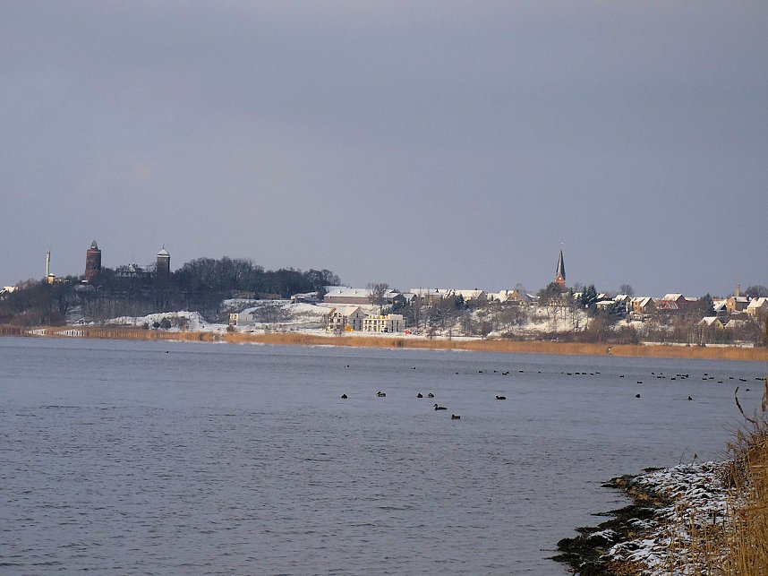 Tiere und Landschaft am Goitzschesee