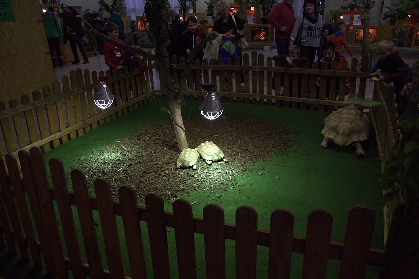 Exoten in einer Ausstellung