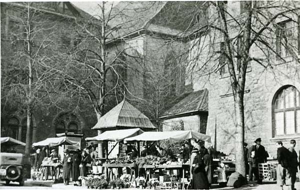 Zwischen Rathaus und Stadthaus