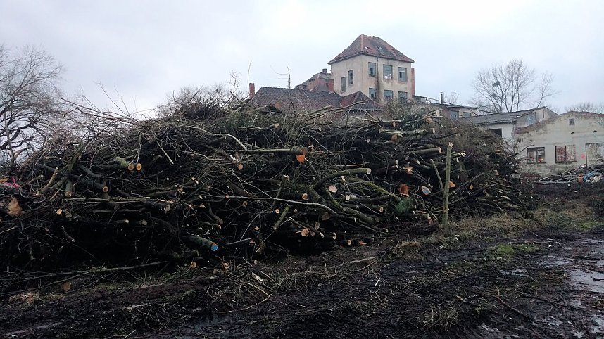 Abrissarbeiten auf dem Drei-Streif-Gel&auml;nde