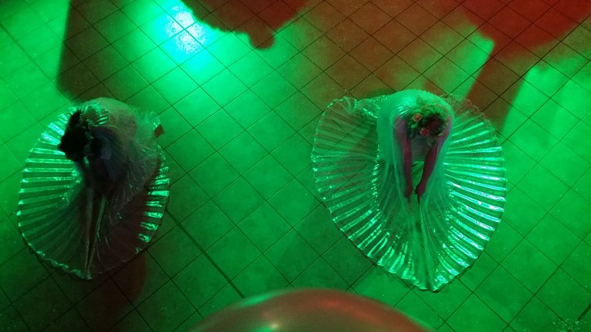 Prinzenproklamation in S&uuml;lzhayn