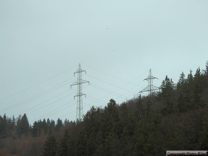 Peter Blei unterwegs: die Wendefurth Talsperre