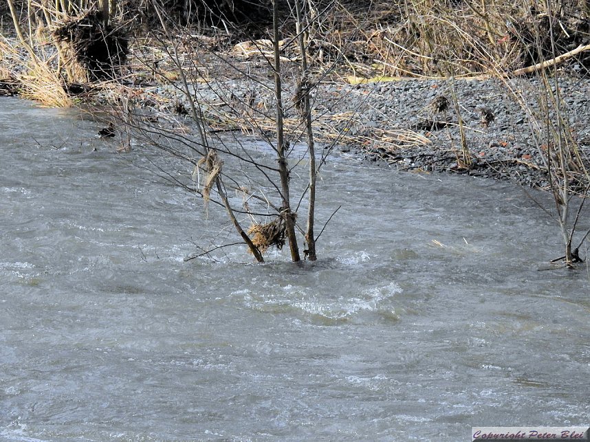 Pegel sind gestiegen