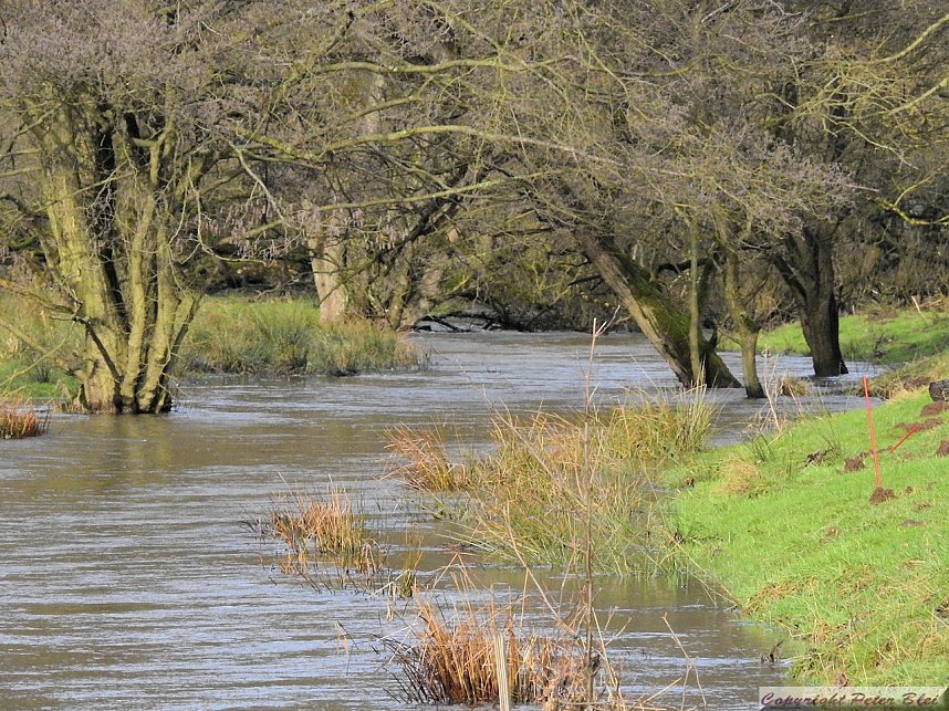 Pegel sind gestiegen