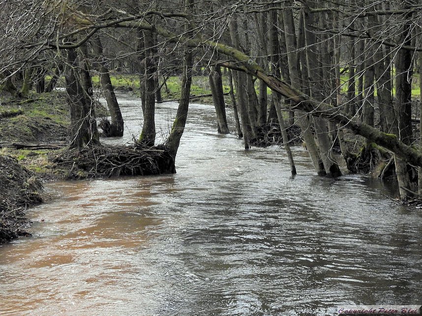 Pegel sind gestiegen