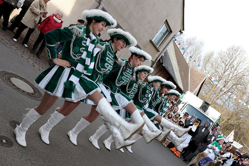 Karnevalumzug in W&uuml;lfingerode