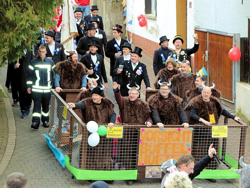 Karnevalumzug in W&uuml;lfingerode