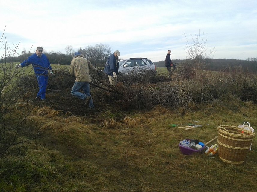 Arbeitseinsatz des Nordh&auml;user BUND