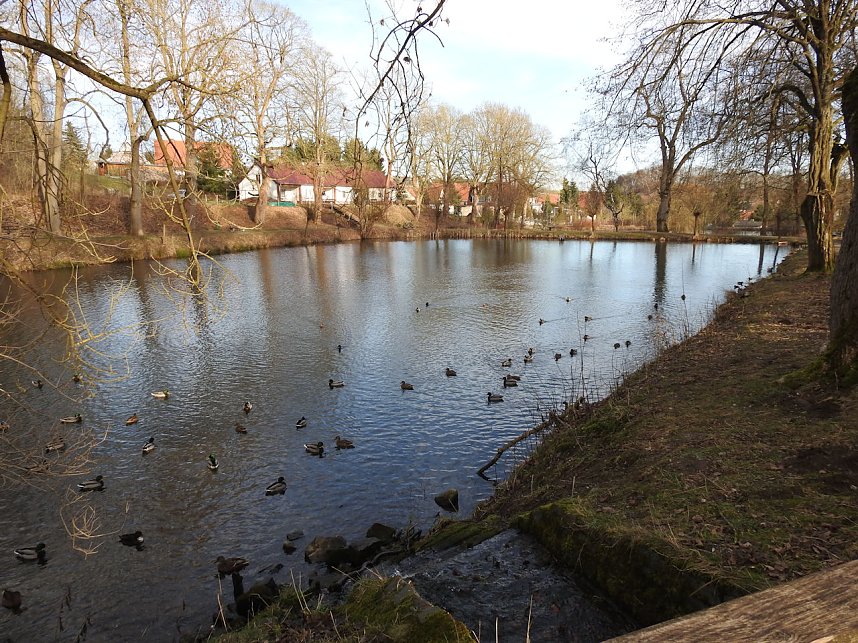 Peter Blei unterwegs: Bei Elbingerode