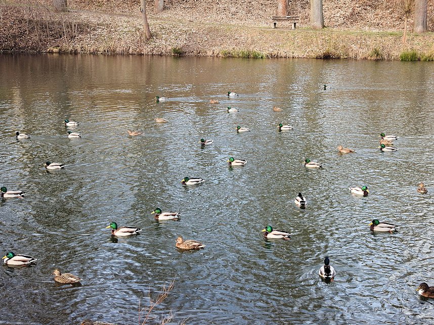 Peter Blei unterwegs: Bei Elbingerode