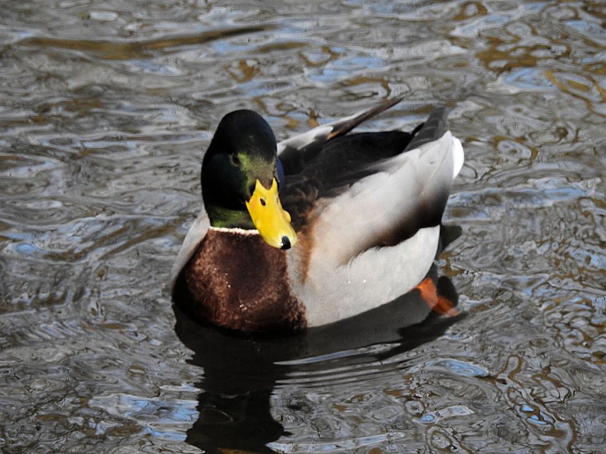 Peter Blei unterwegs: Bei Elbingerode