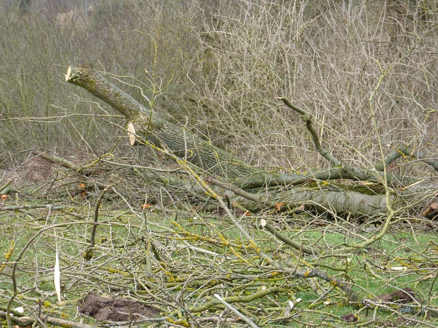 Tornado &uuml;berm S&uuml;dharz