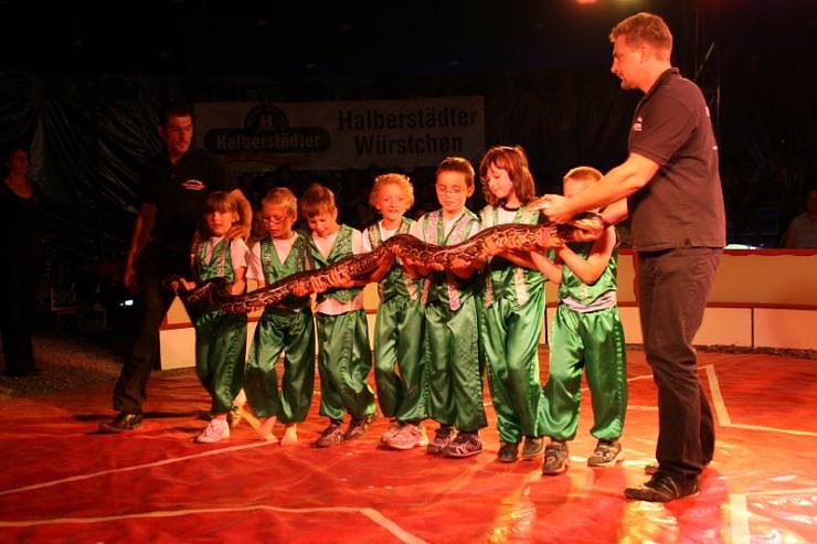 Zirkusluft in Ellrich