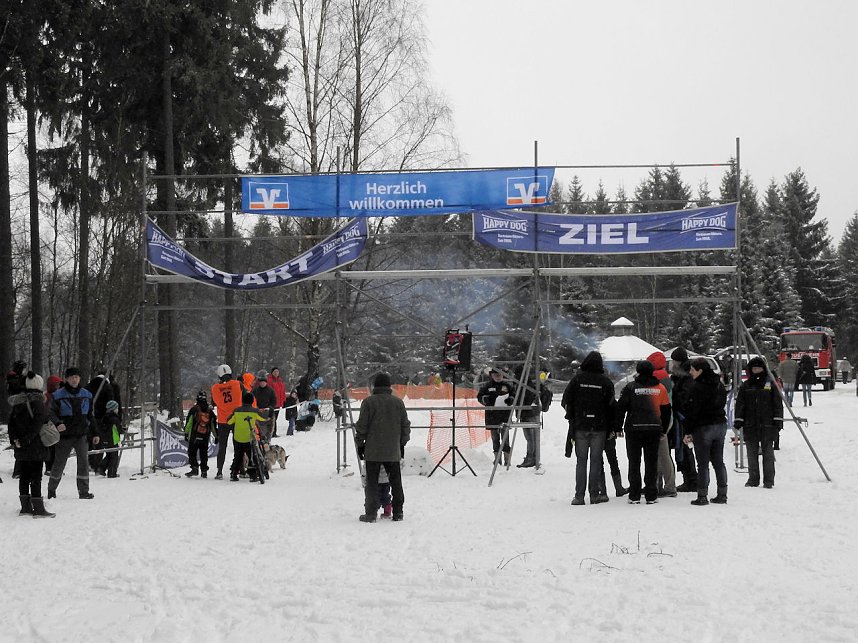 Schlittenhunderennen 2016 in Benneckenstein