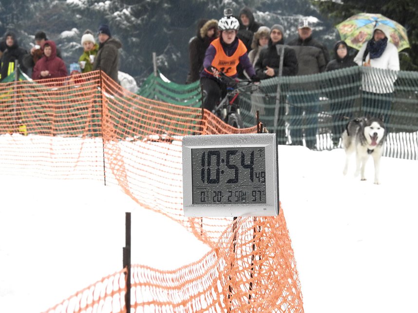 Schlittenhunderennen 2016 in Benneckenstein