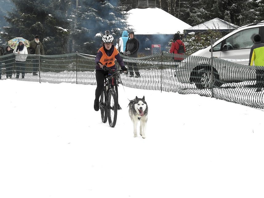 Schlittenhunderennen 2016 in Benneckenstein