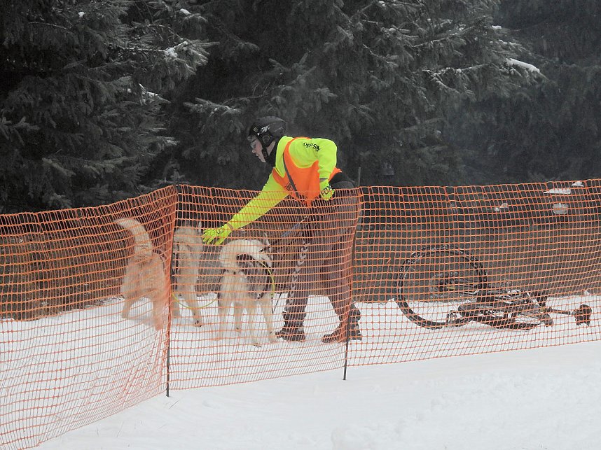 Schlittenhunderennen 2016 in Benneckenstein
