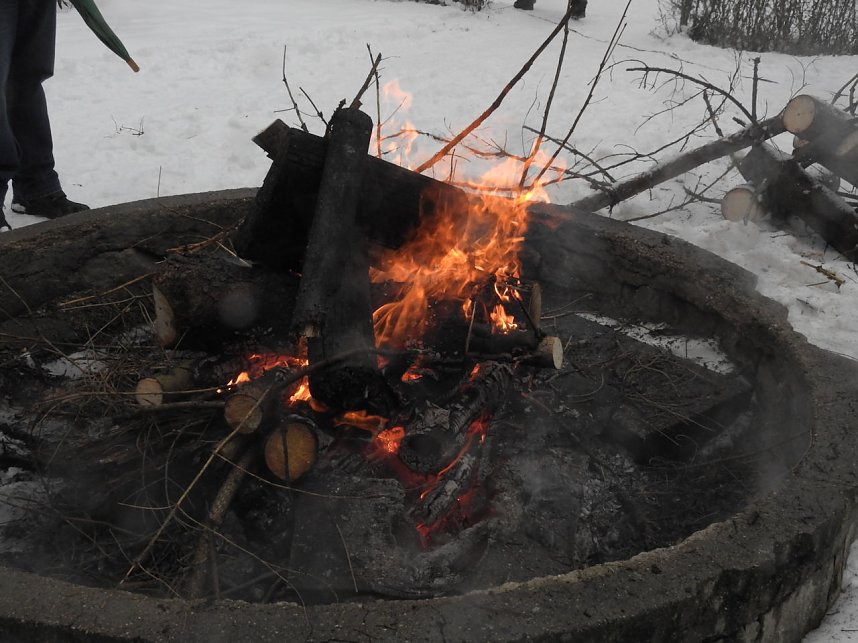 Schlittenhunderennen 2016 in Benneckenstein